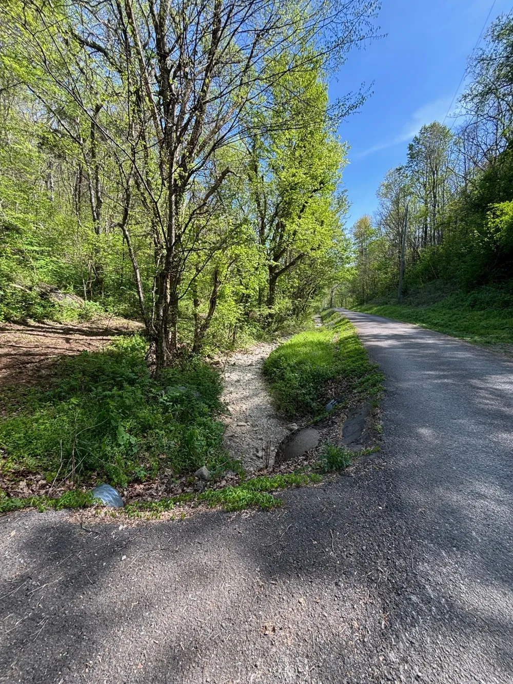 7792 Burks Rd Christiana, TN 37037