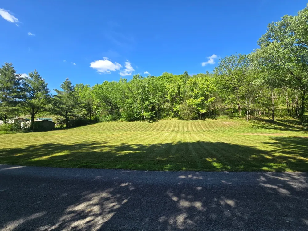 0 Dog Branch Road S Pleasant Shade, TN 37145