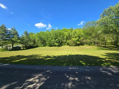 0 Dog Branch Road S