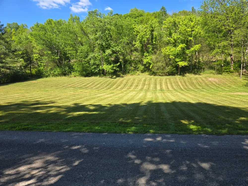 0 Dog Branch Road S Pleasant Shade, TN 37145