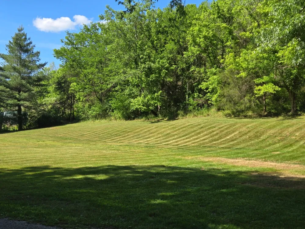 0 Dog Branch Road S Pleasant Shade, TN 37145