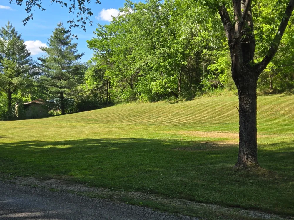 0 Dog Branch Road S Pleasant Shade, TN 37145