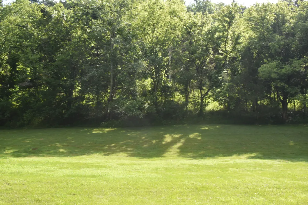 0 Dog Branch Road S Pleasant Shade, TN 37145