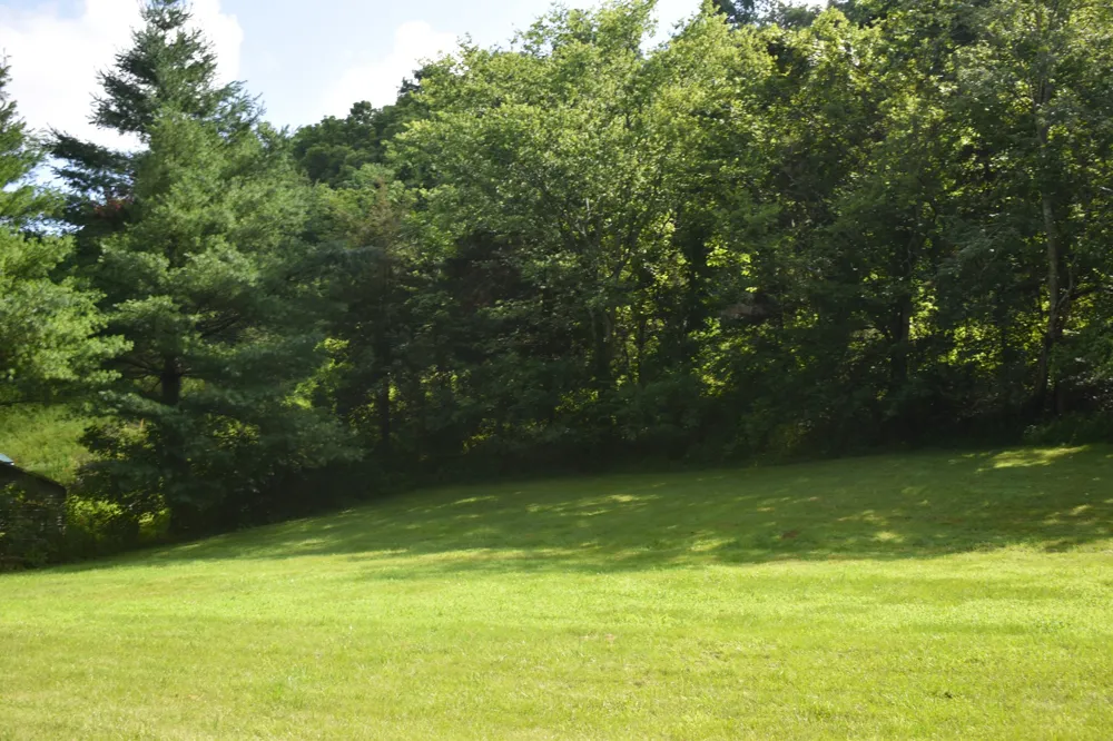 0 Dog Branch Road S Pleasant Shade, TN 37145