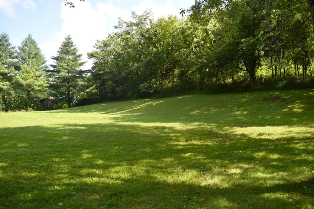 0 Dog Branch Road S Pleasant Shade, TN 37145