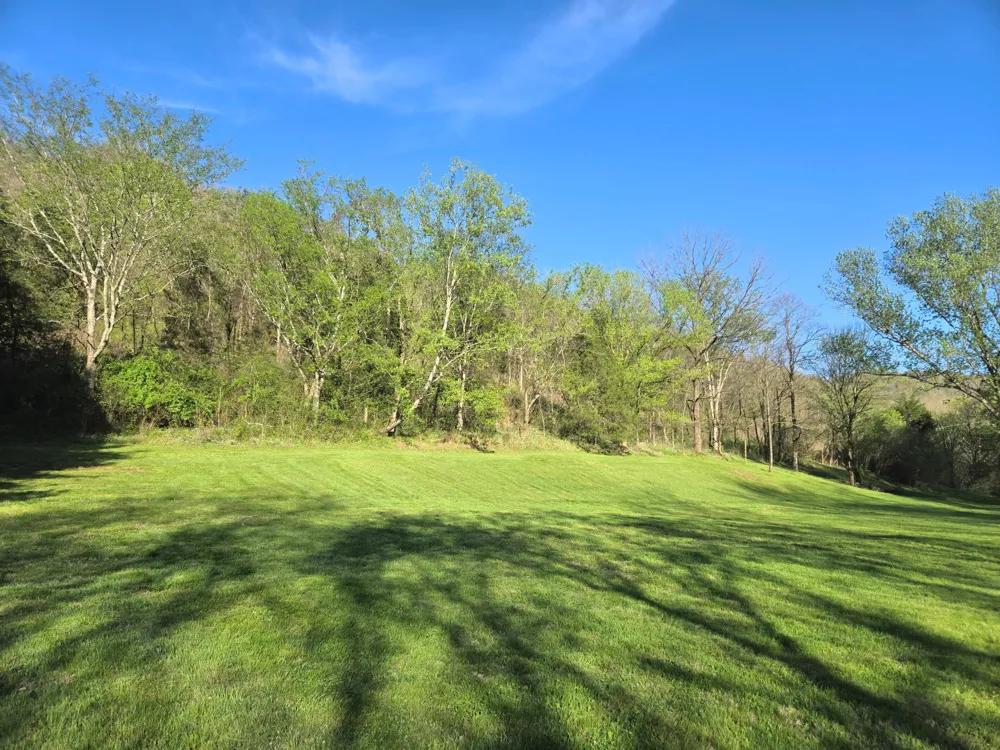 0 Dog Branch Road S Pleasant Shade, TN 37145