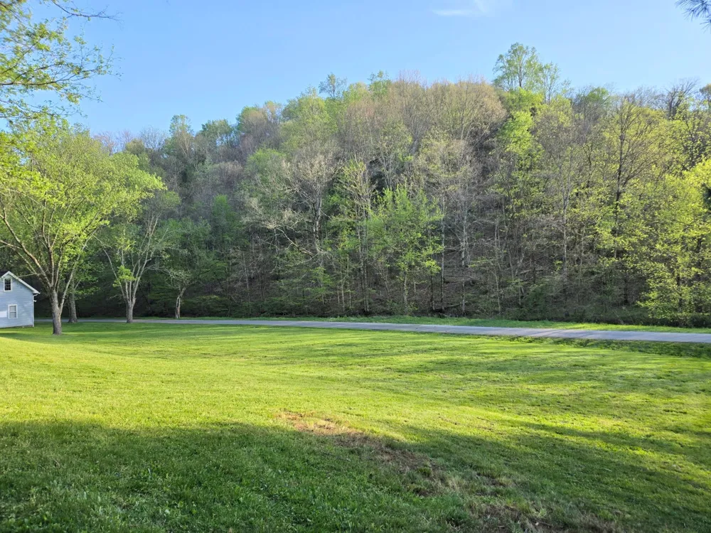 0 Dog Branch Road S Pleasant Shade, TN 37145