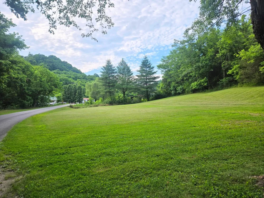 0 Dog Branch Road S Pleasant Shade, TN 37145