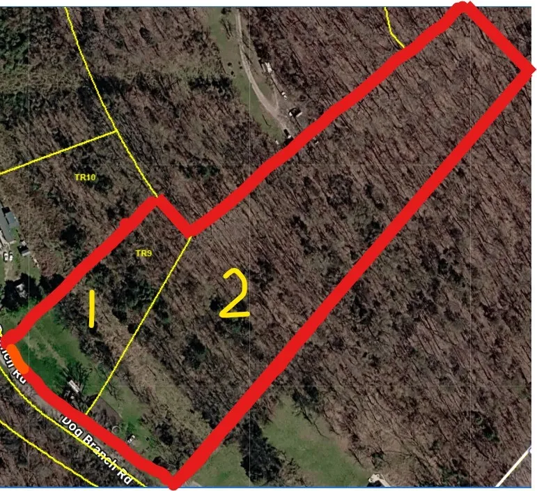 0 Dog Branch Road S Pleasant Shade, TN 37145