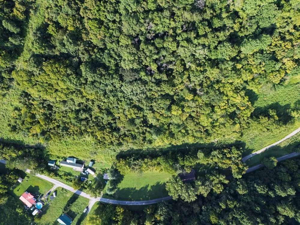0 Dog Branch Road S Pleasant Shade, TN 37145