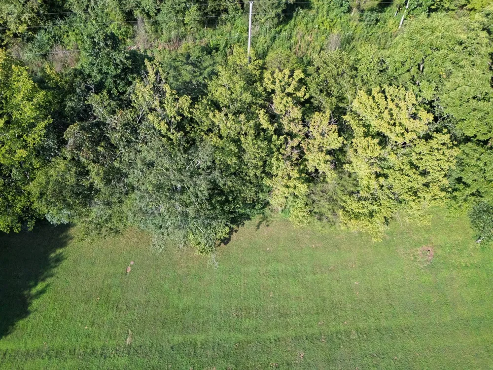 0 Dog Branch Road S Pleasant Shade, TN 37145