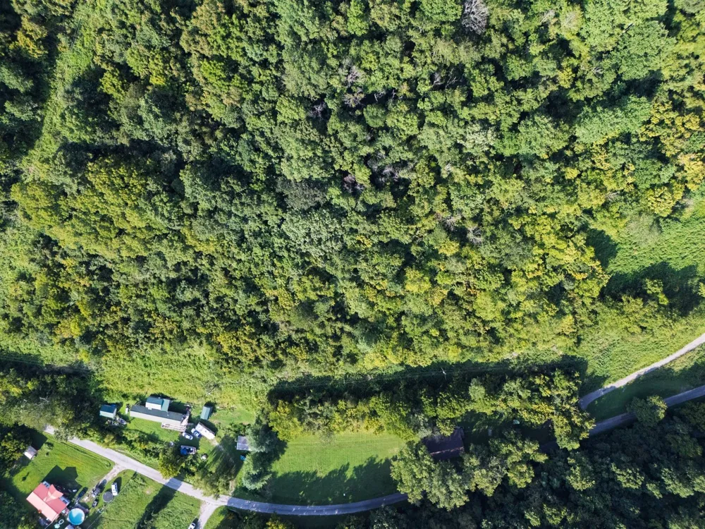 0 Dog Branch Road S Pleasant Shade, TN 37145