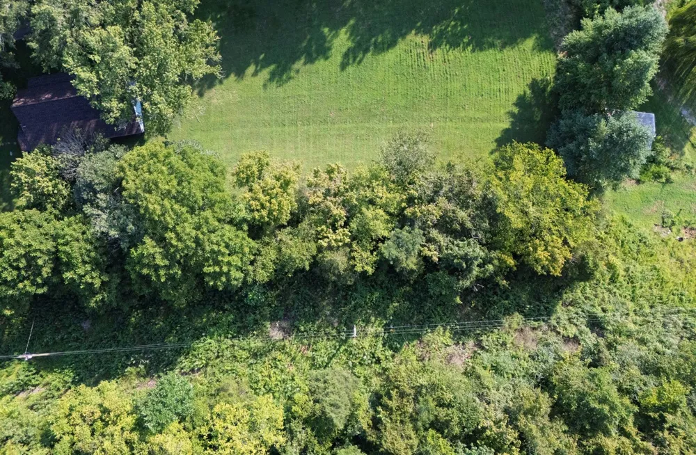 0 Dog Branch Road S Pleasant Shade, TN 37145