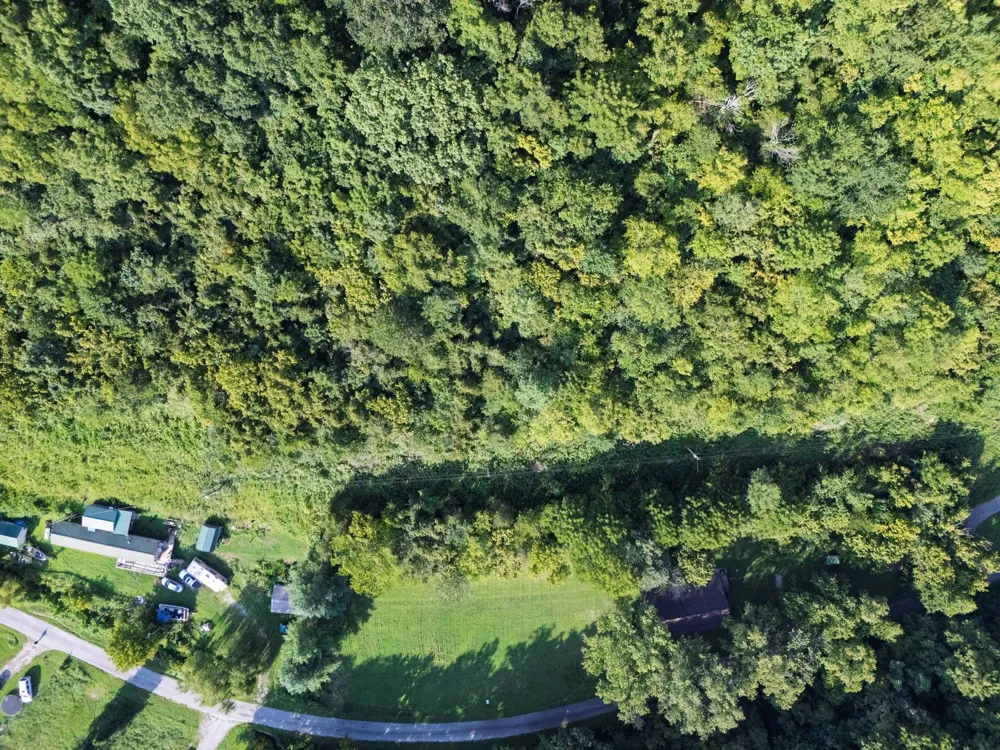0 Dog Branch Road S Pleasant Shade, TN 37145