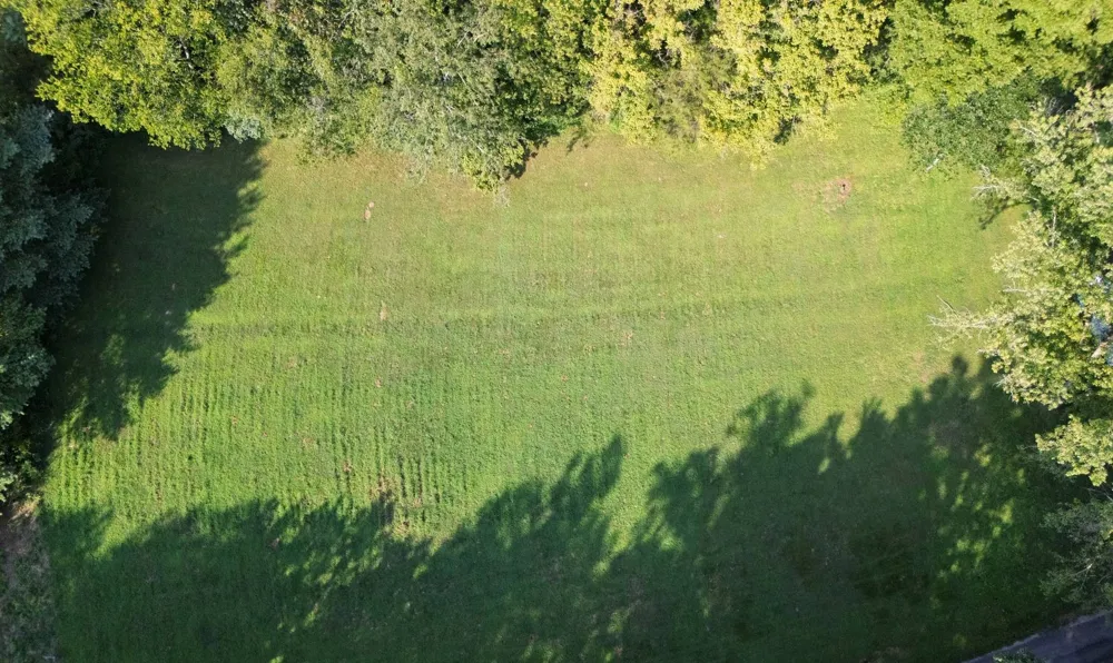 0 Dog Branch Road S Pleasant Shade, TN 37145