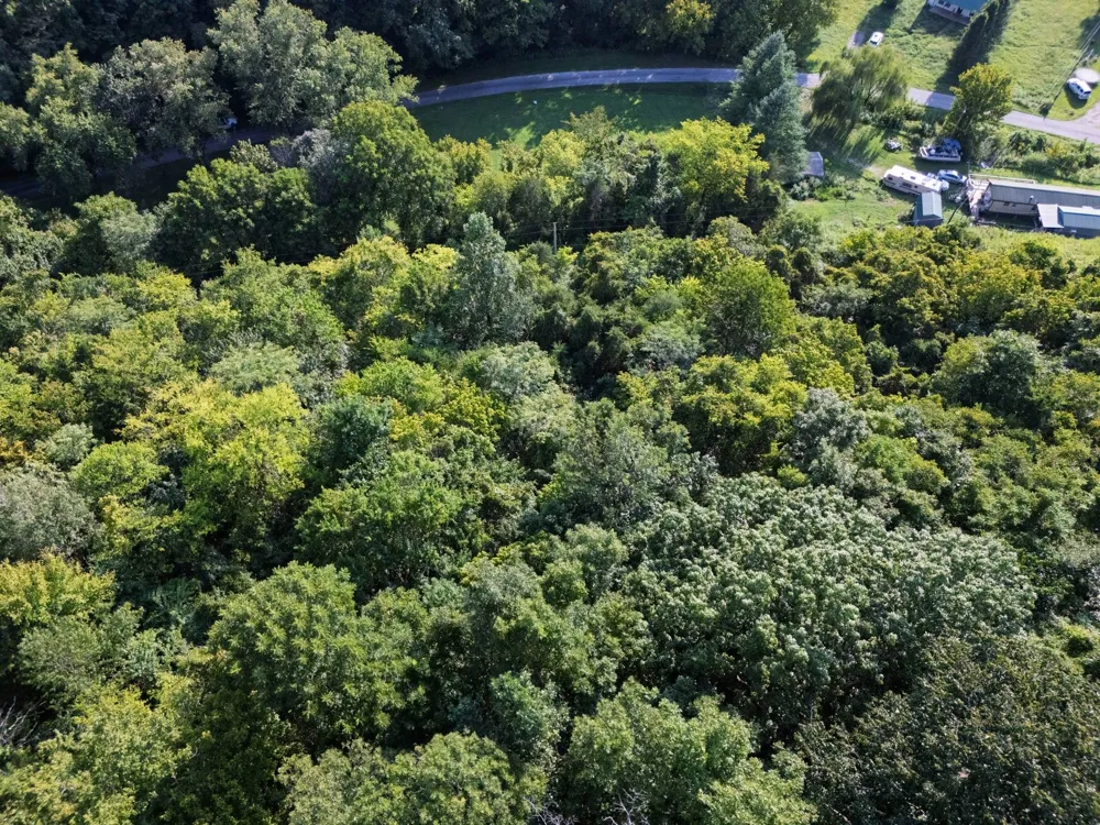 0 Dog Branch Road S Pleasant Shade, TN 37145