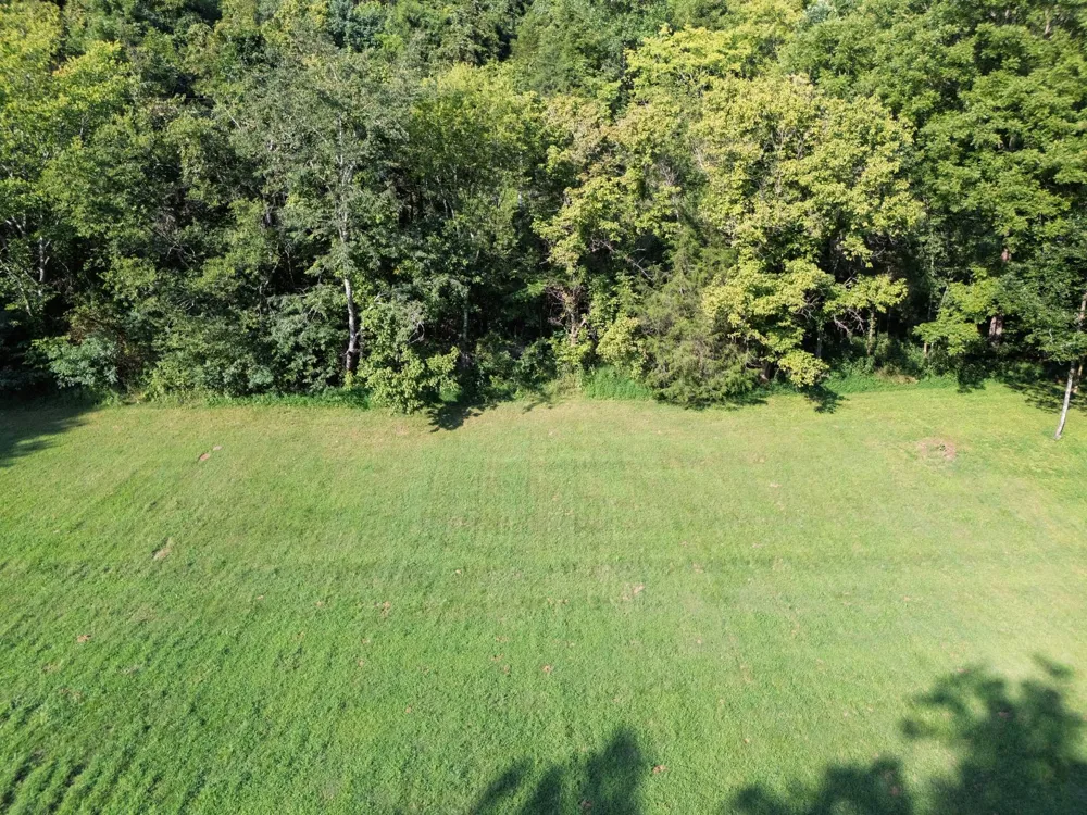 0 Dog Branch Road S Pleasant Shade, TN 37145