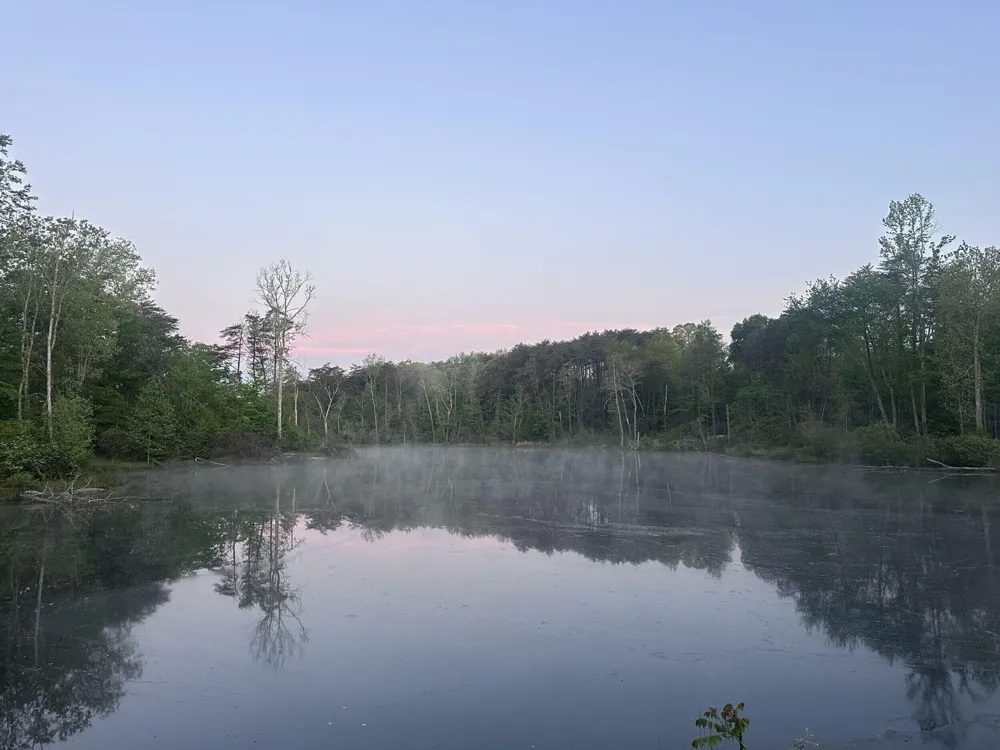 44 Dwellings Drive Tracy City, TN 37387