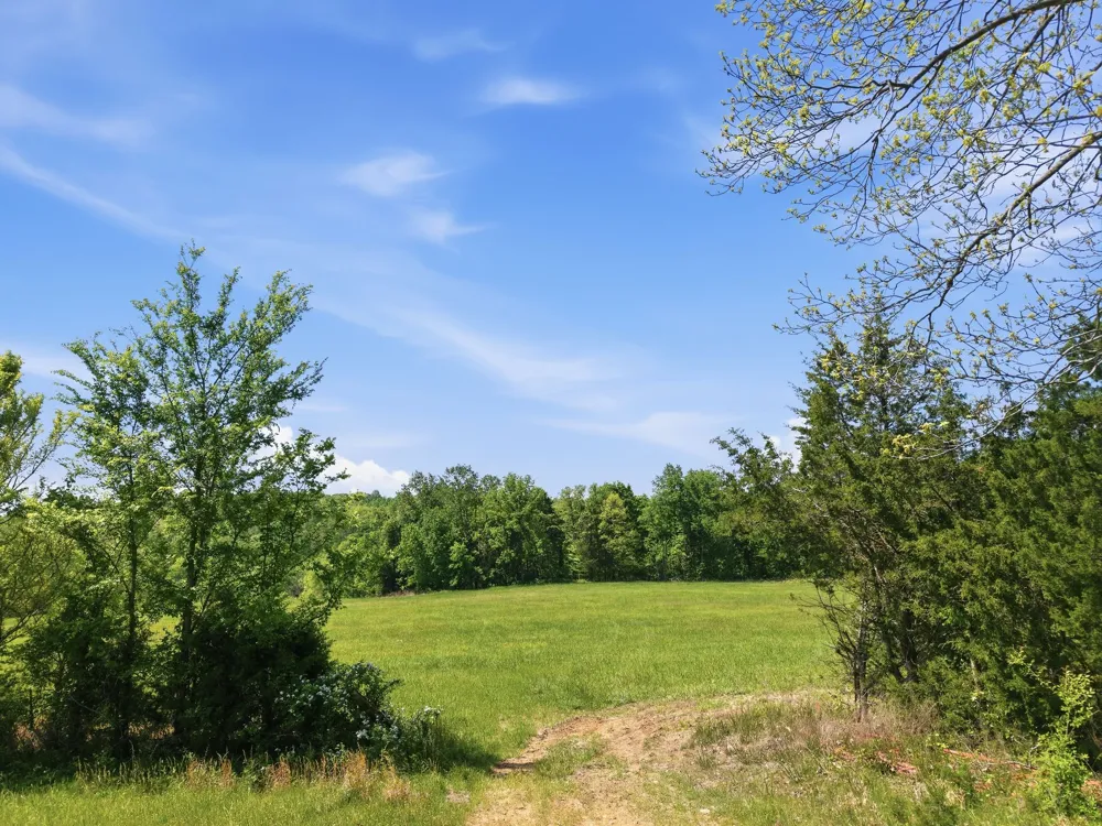 0 Freeman Loop Southside, TN 37171