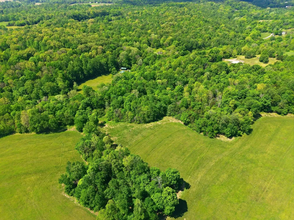0 Freeman Loop Southside, TN 37171