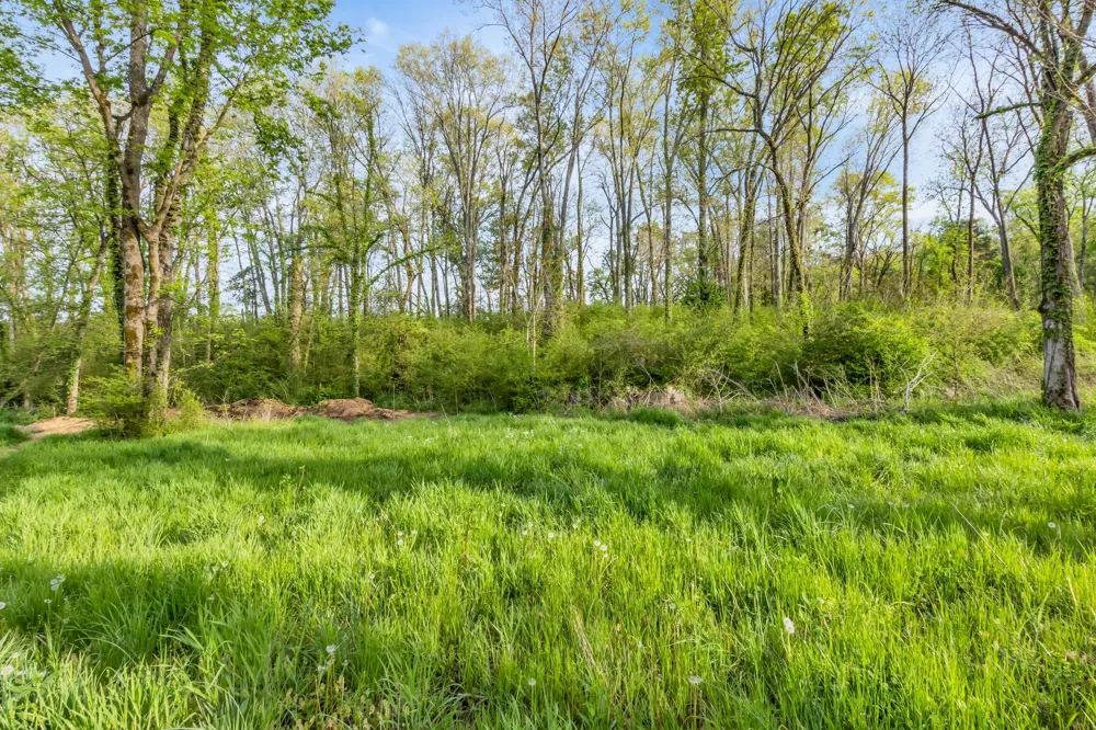 6314 McDaniel Rd College Grove, TN 37046