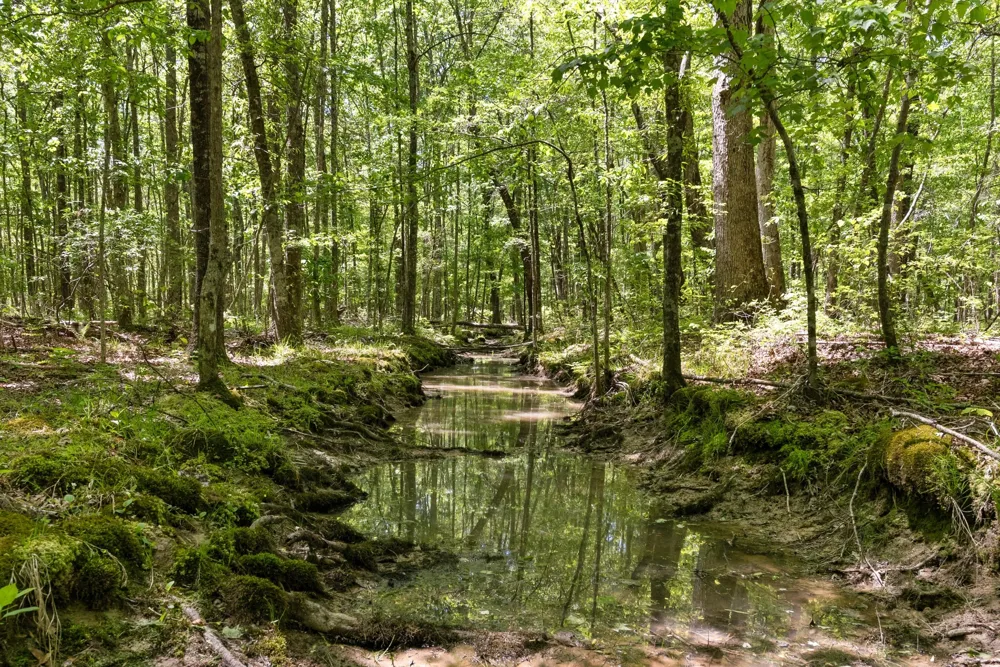 220 Gitty Up Ln Bradyville, TN 37026