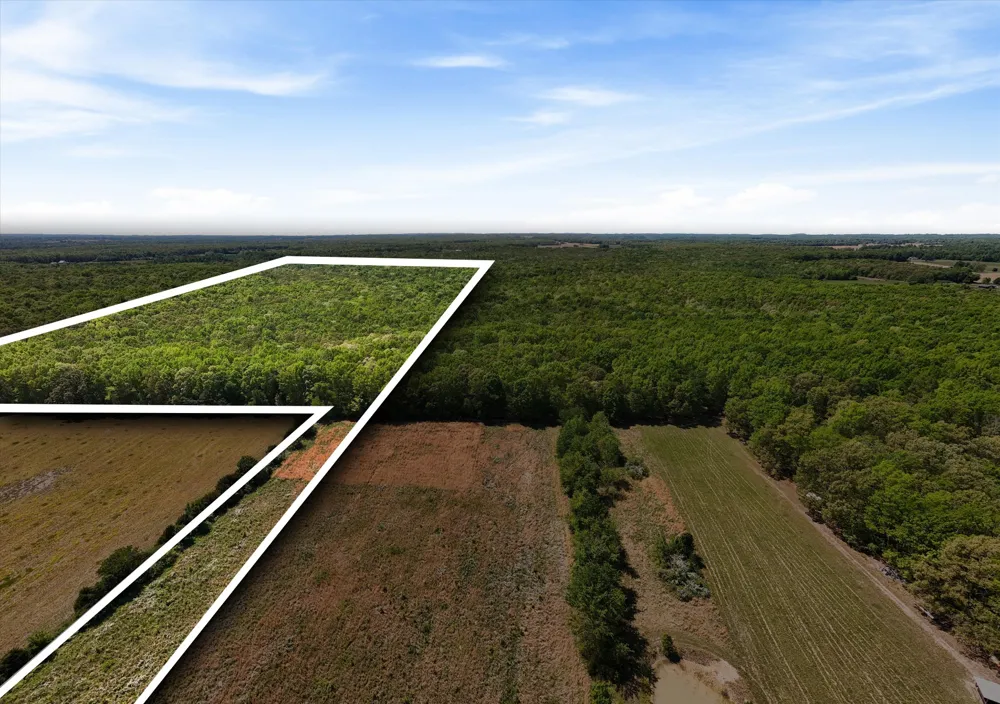 220 Gitty Up Ln Bradyville, TN 37026