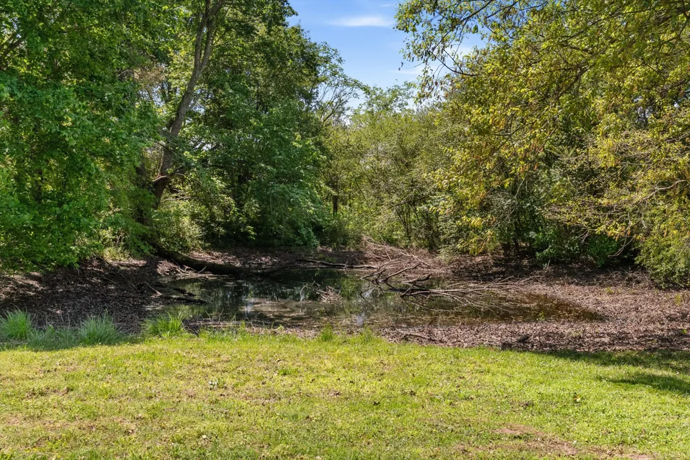 220 Gitty Up Ln Bradyville, TN 37026