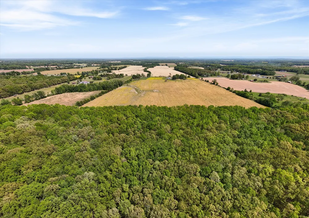 220 Gitty Up Ln Bradyville, TN 37026