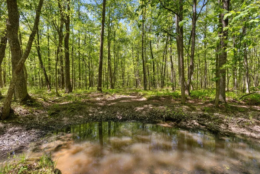 220 Gitty Up Ln Bradyville, TN 37026