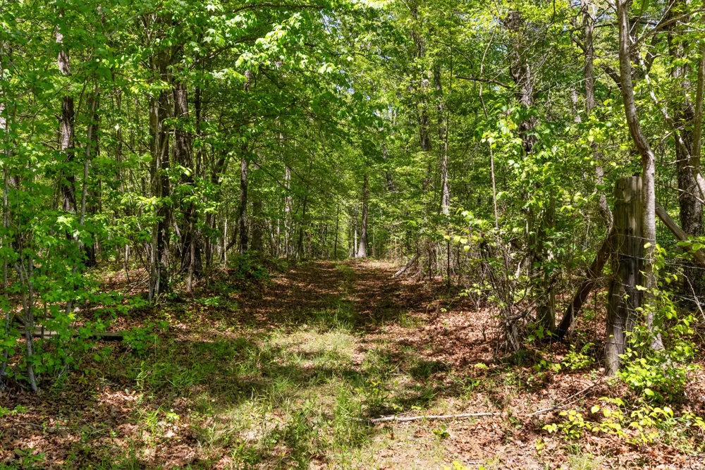 220 Gitty Up Ln Bradyville, TN 37026