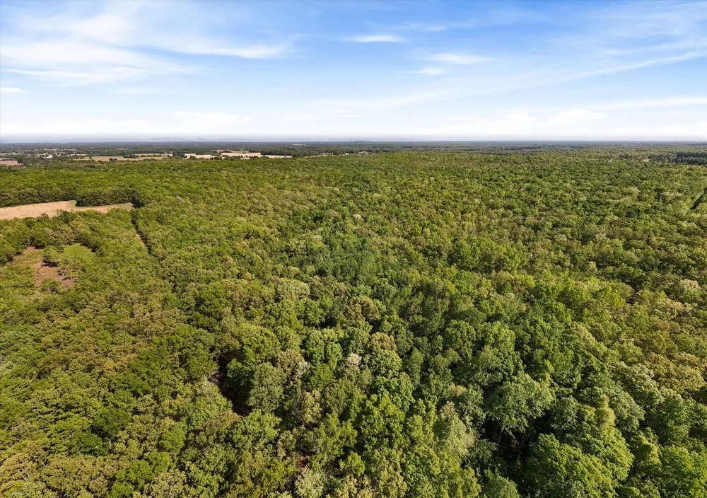 220 Gitty Up Ln Bradyville, TN 37026