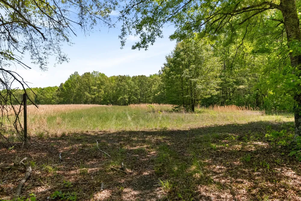 220 Gitty Up Ln Bradyville, TN 37026