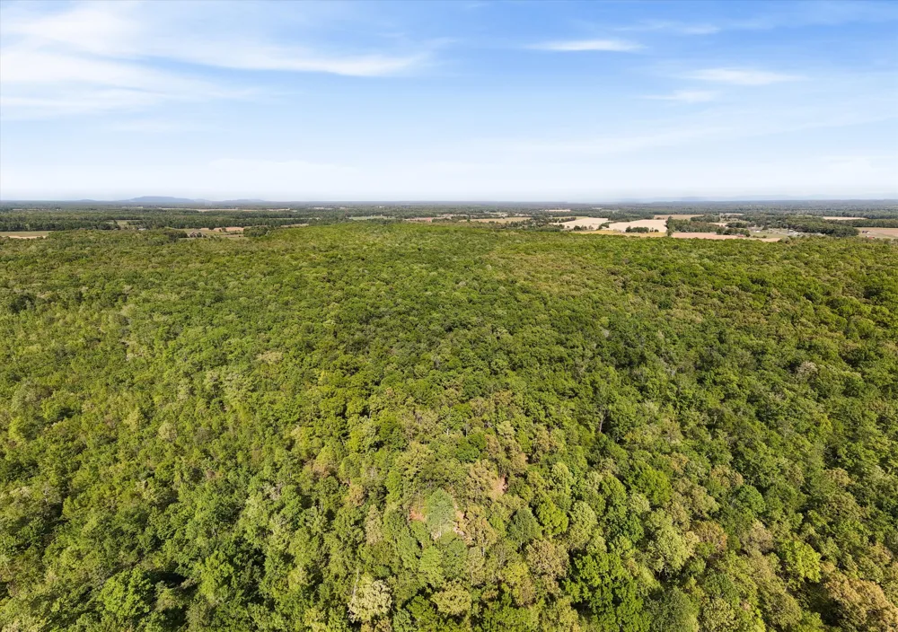 220 Gitty Up Ln Bradyville, TN 37026