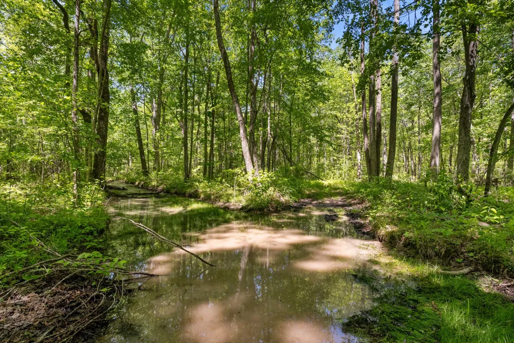 220 Gitty Up Ln Bradyville, TN 37026