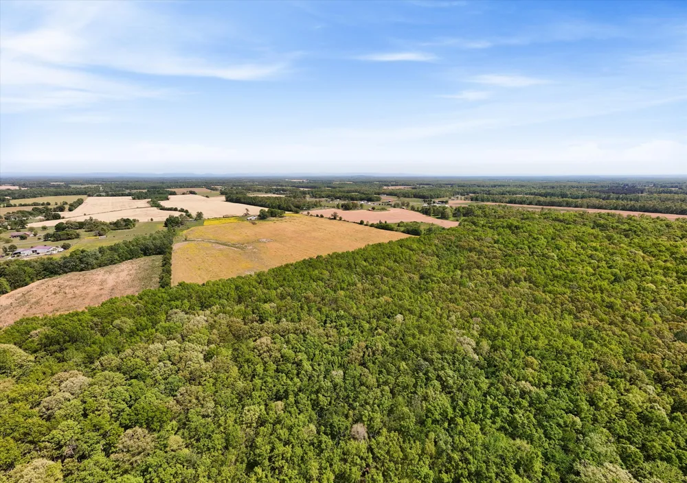 220 Gitty Up Ln Bradyville, TN 37026