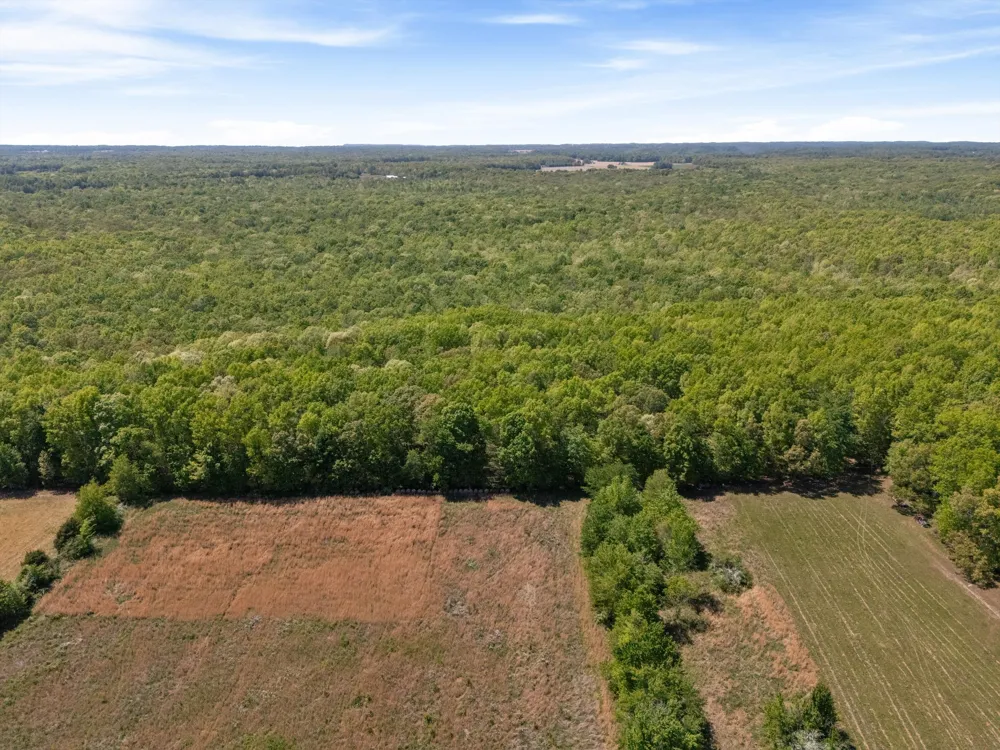 220 Gitty Up Ln Bradyville, TN 37026