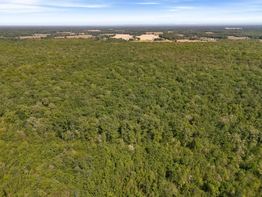 220 Gitty Up Ln Bradyville, TN 37026
