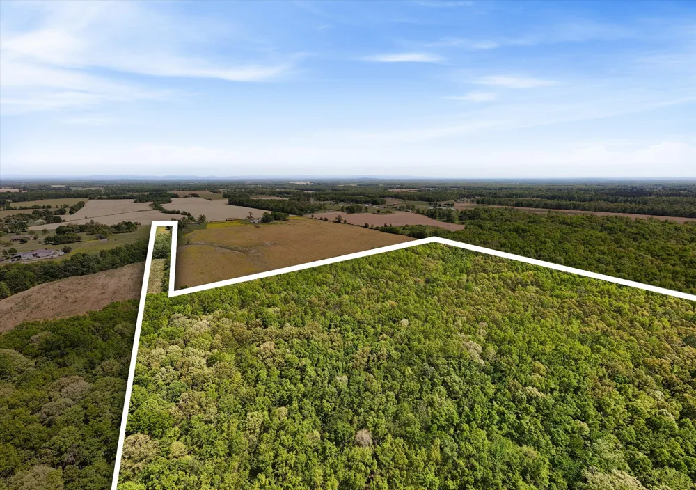 220 Gitty Up Ln Bradyville, TN 37026
