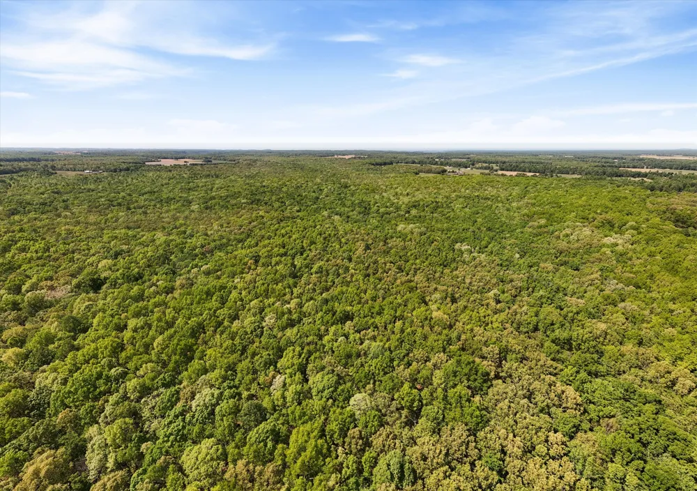 220 Gitty Up Ln Bradyville, TN 37026