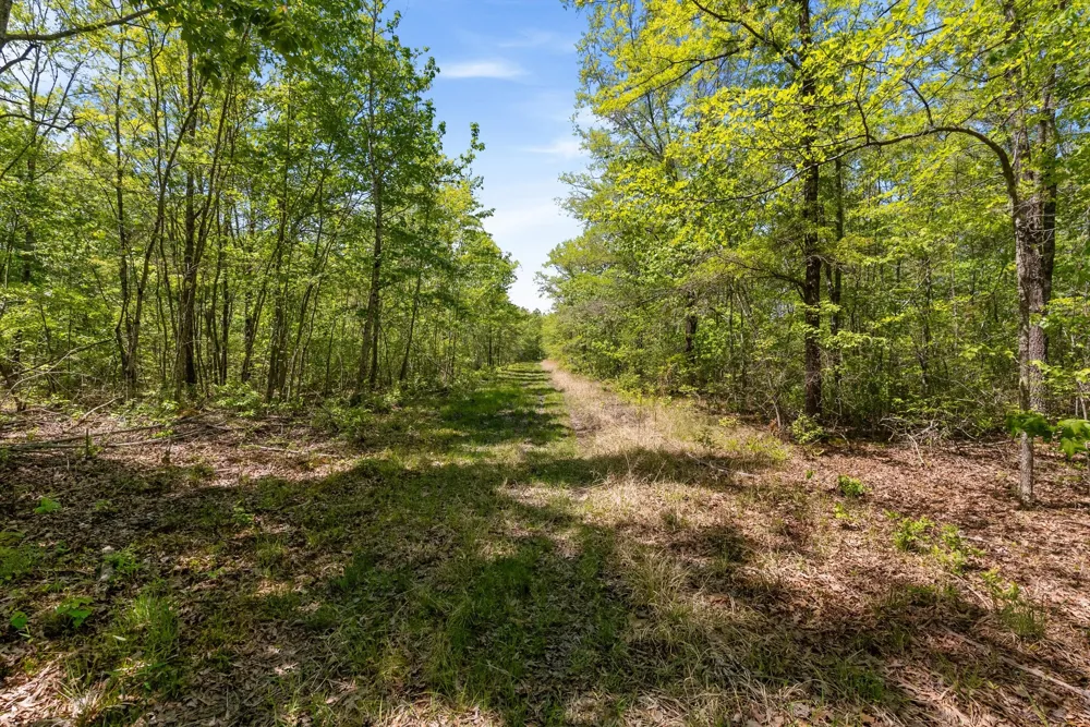 220 Gitty Up Ln Bradyville, TN 37026