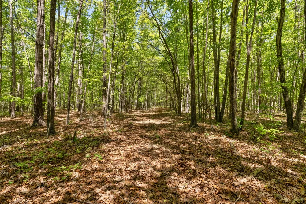 220 Gitty Up Ln Bradyville, TN 37026