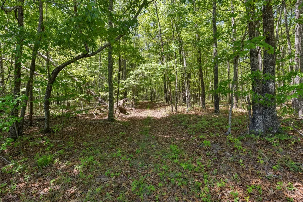 220 Gitty Up Ln Bradyville, TN 37026