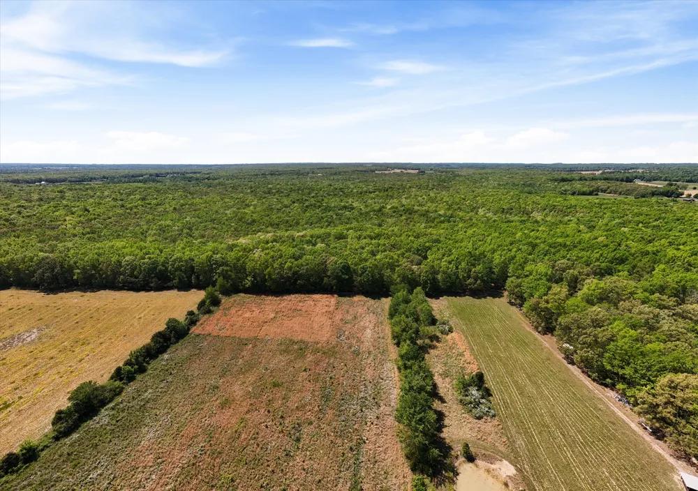 220 Gitty Up Ln Bradyville, TN 37026