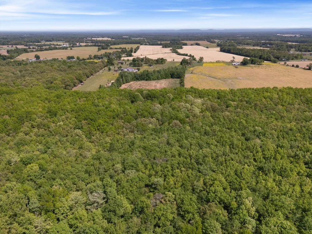 220 Gitty Up Ln Bradyville, TN 37026