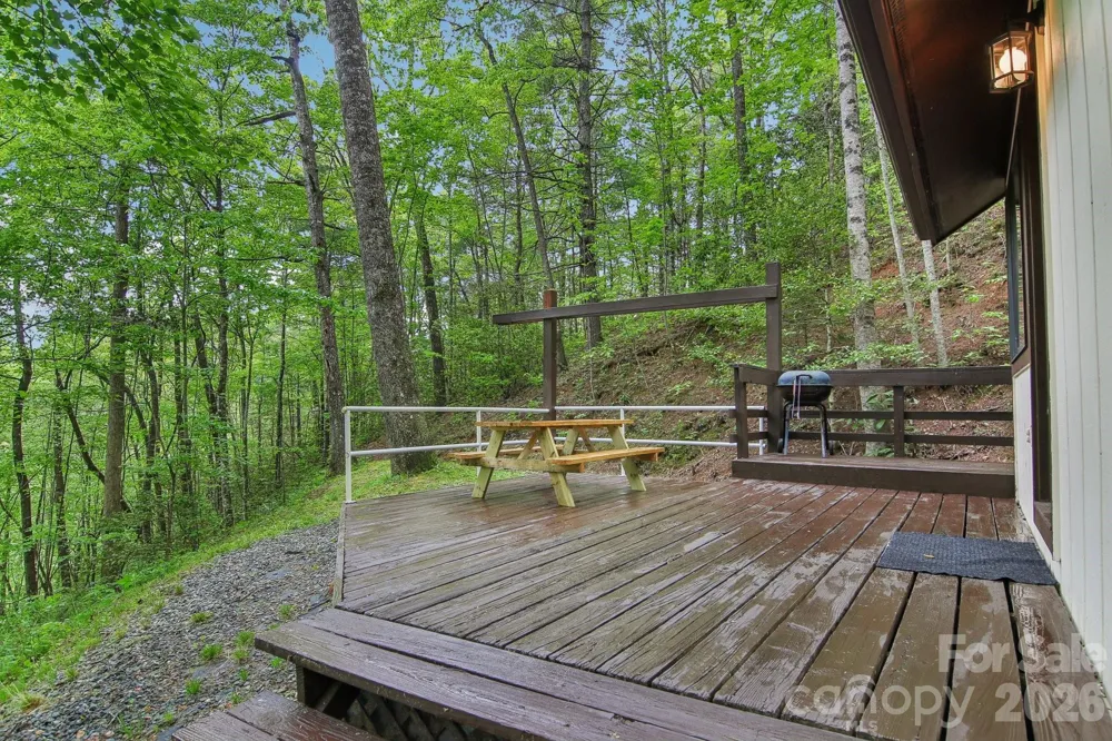 291 Dills Road Bryson City, NC 28713