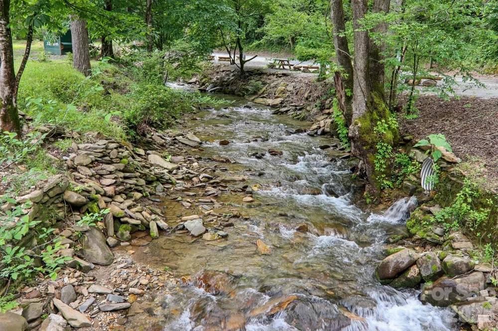 295 Dills Road Bryson City, NC 28713