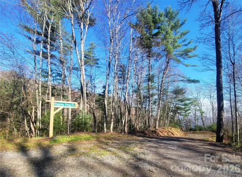 111 Digging Seng Trail #138