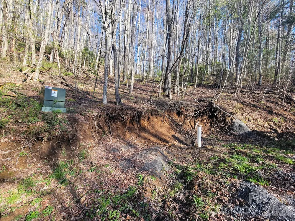 111 Digging Seng Trail #138 Waynesville, NC 28785