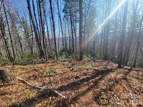 111 Digging Seng Trail #138